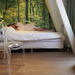 Hotel-Drenthe-Wapen-van-Drenthe-cnt-10-300x300