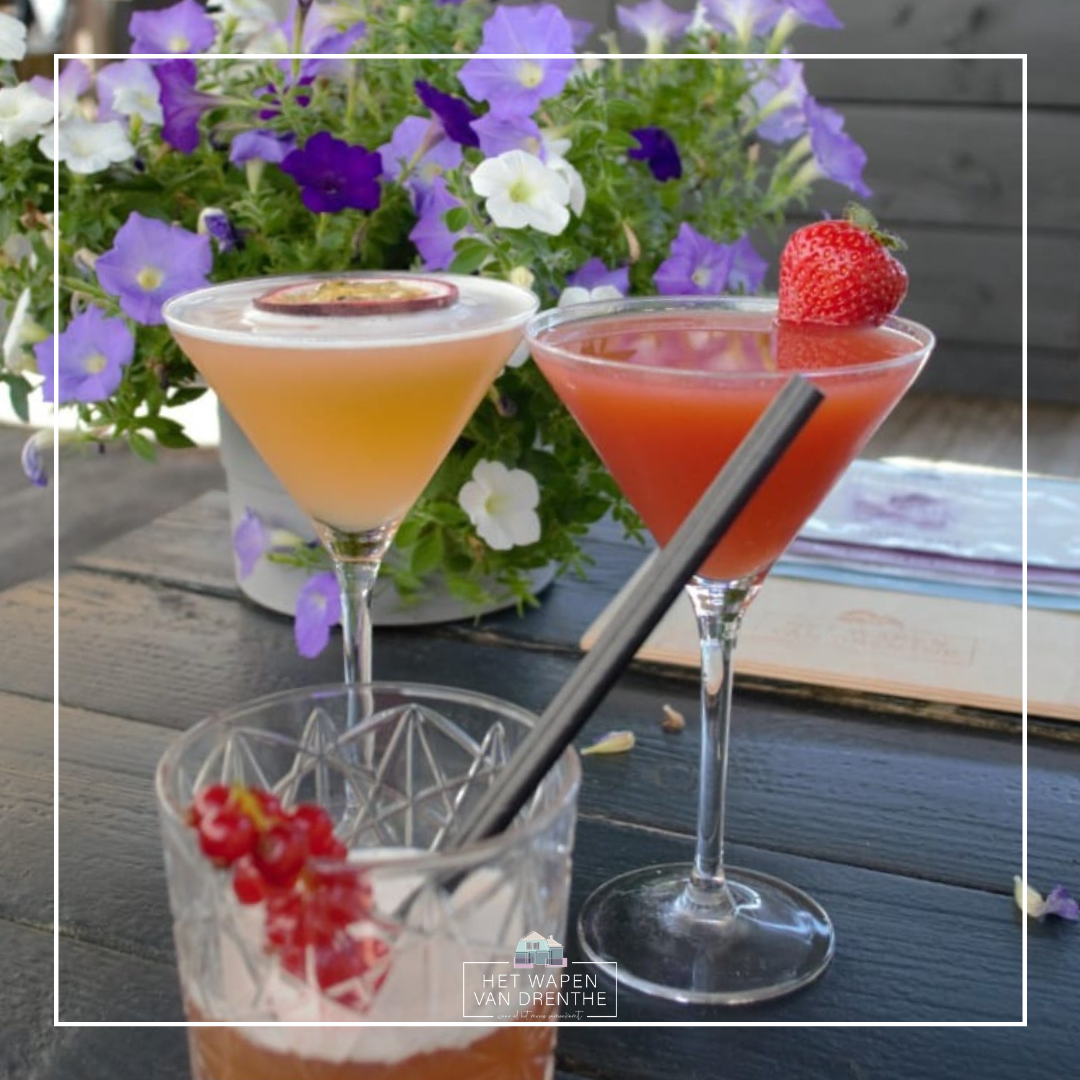 Cocktails het Wapen van Drenthe