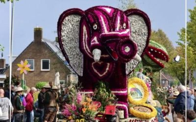 Rodermarkt feestweek